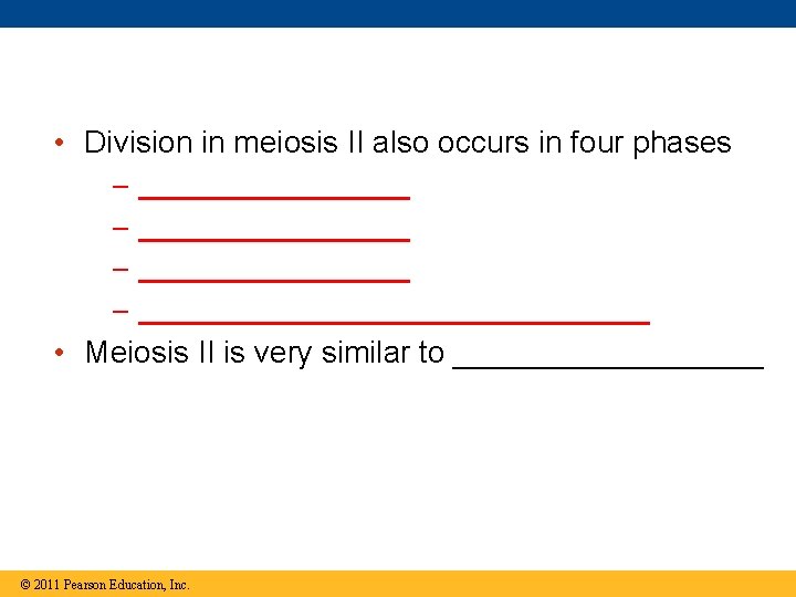  • Division in meiosis II also occurs in four phases – – _________________________