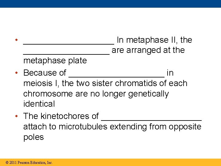  • __________ In metaphase II, the _________ are arranged at the metaphase plate