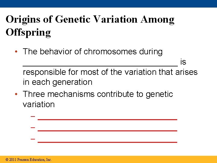 Origins of Genetic Variation Among Offspring • The behavior of chromosomes during _________________ is