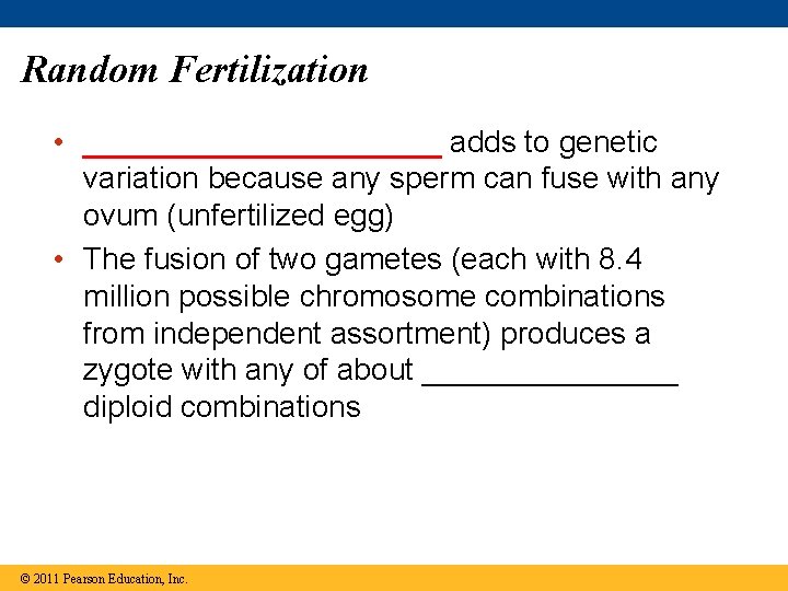 Random Fertilization • ___________ adds to genetic variation because any sperm can fuse with