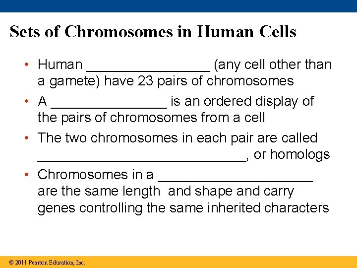 Sets of Chromosomes in Human Cells • Human ________ (any cell other than a