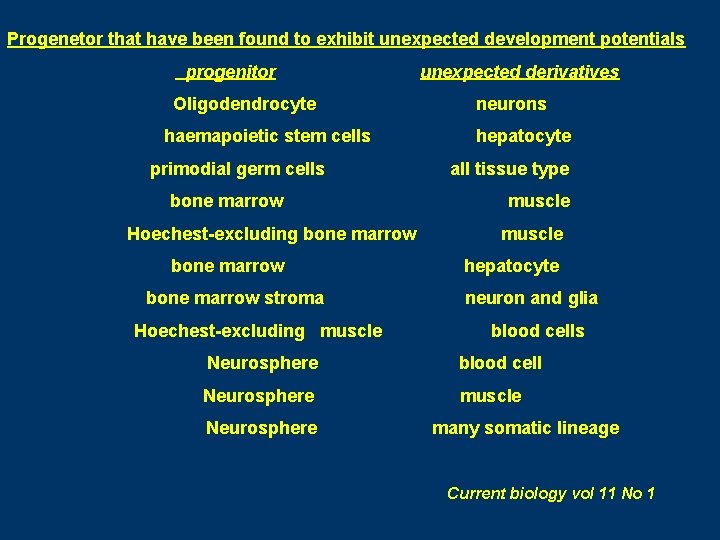 Progenetor that have been found to exhibit unexpected development potentials progenitor Oligodendrocyte haemapoietic stem