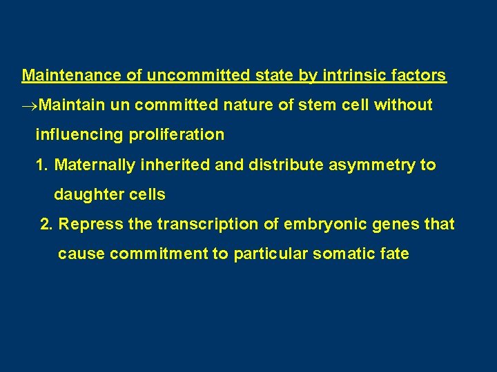 Maintenance of uncommitted state by intrinsic factors ®Maintain un committed nature of stem cell