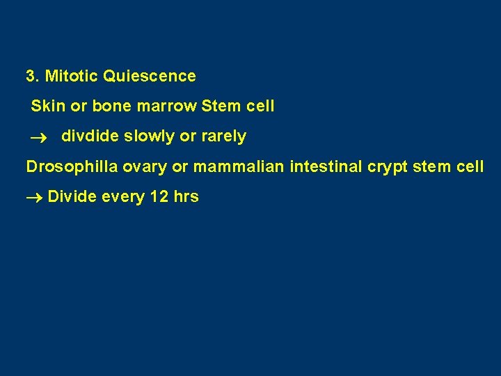 3. Mitotic Quiescence Skin or bone marrow Stem cell divdide slowly or rarely Drosophilla