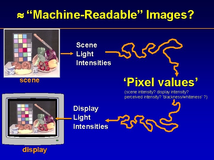  “Machine-Readable” Images? Scene Light Intensities ‘Pixel values’ scene (scene intensity? display intensity? perceived