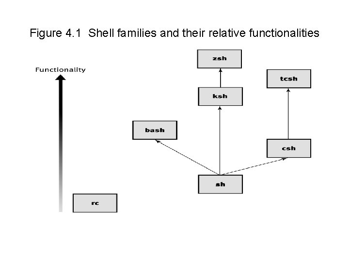 Figure 4. 1 Shell families and their relative functionalities 