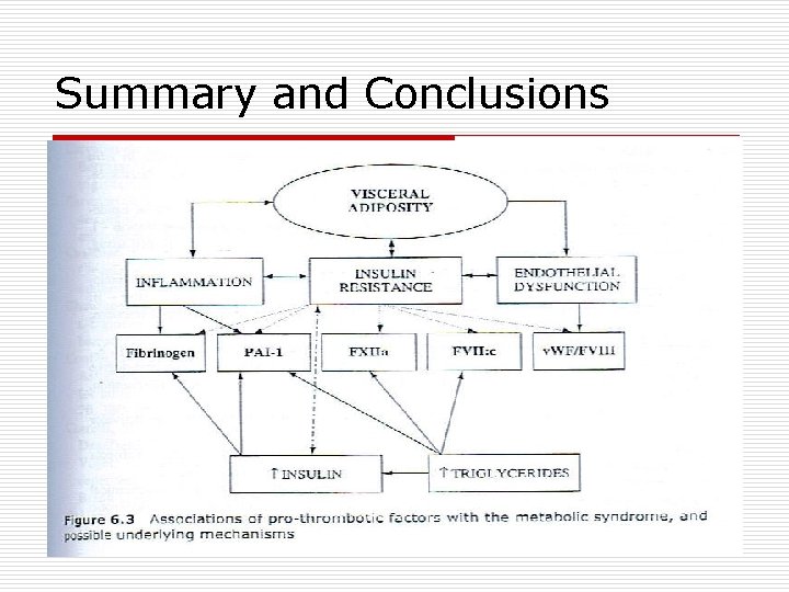 Summary and Conclusions 
