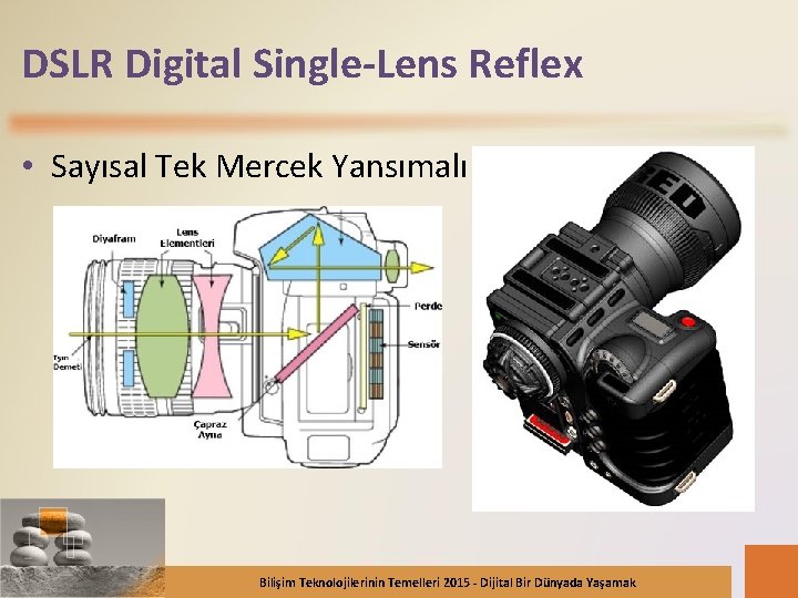 DSLR Digital Single-Lens Reflex • Sayısal Tek Mercek Yansımalı Bilişim Teknolojilerinin Temelleri 2015 -