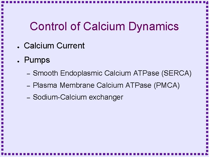 Control of Calcium Dynamics ● Calcium Current ● Pumps – Smooth Endoplasmic Calcium ATPase