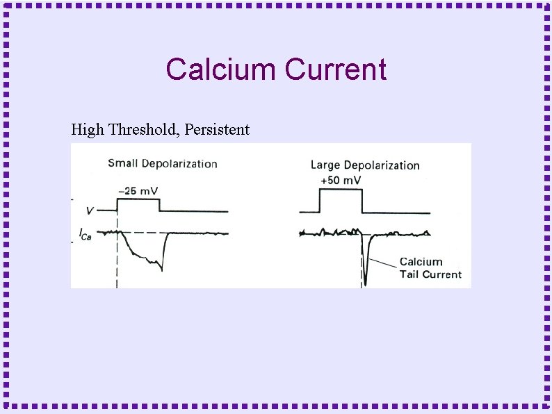Calcium Current High Threshold, Persistent 