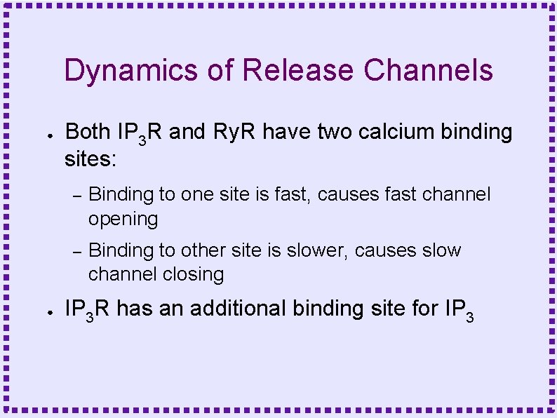 Dynamics of Release Channels ● ● Both IP 3 R and Ry. R have