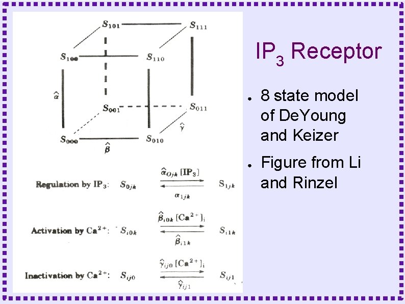 IP 3 Receptor ● ● 8 state model of De. Young and Keizer Figure
