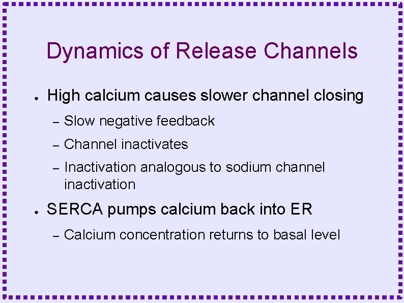 Dynamics of Release Channels ● ● High calcium causes slower channel closing – Slow