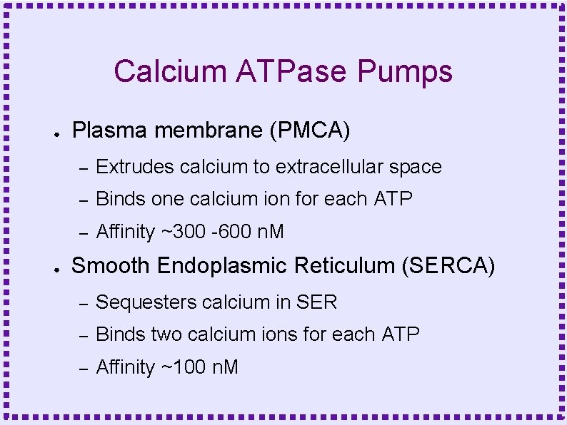 Calcium ATPase Pumps ● ● Plasma membrane (PMCA) – Extrudes calcium to extracellular space