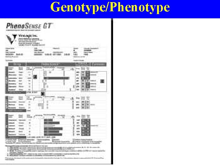 Genotype/Phenotype 