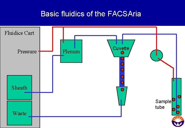 Basic fluidics of the FACSAria Fluidics Cart Pressure Plenum Cuvette Sheath Sample tube Waste