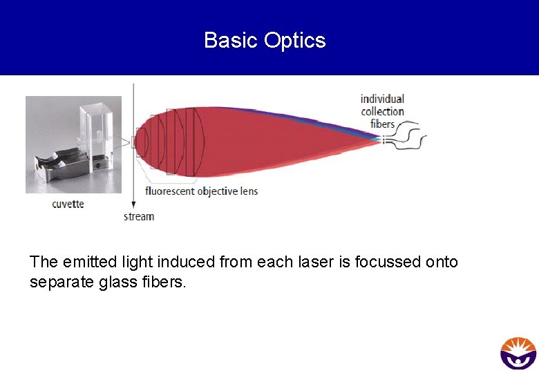Basic Optics The emitted light induced from each laser is focussed onto separate glass