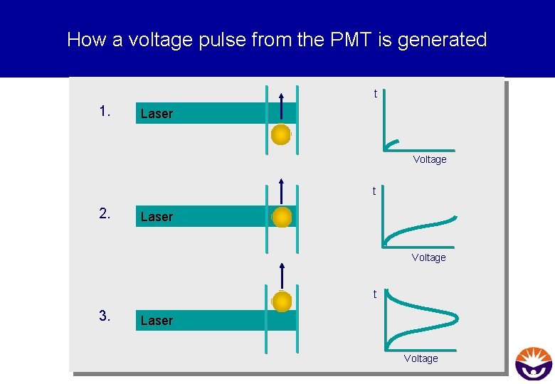 How a voltage pulse from the PMT is generated t 1. Laser Voltage t