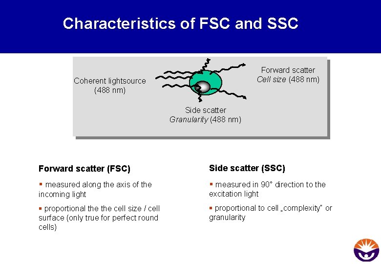 Characteristics of FSC and SSC Forward scatter Cell size (488 nm) Coherent lightsource (488