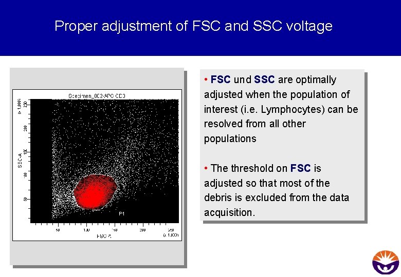 Proper adjustment of FSC and SSC voltage • FSC und SSC are optimally adjusted