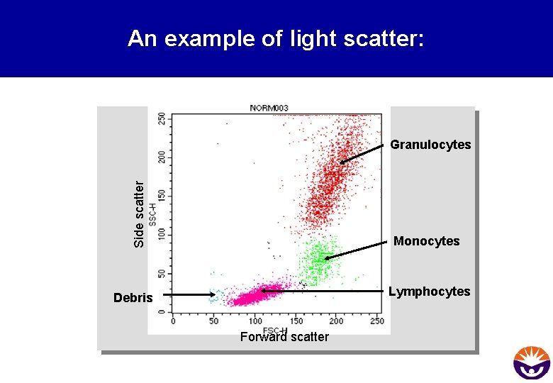 An example of light scatter: Side scatter Granulocytes Monocytes Lymphocytes Debris Forward scatter 