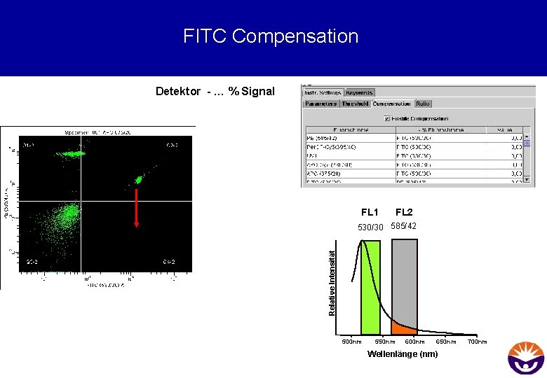 FITC Compensation Detektor - … % Signal FL 1 FL 2 Relative Intensität 530/30