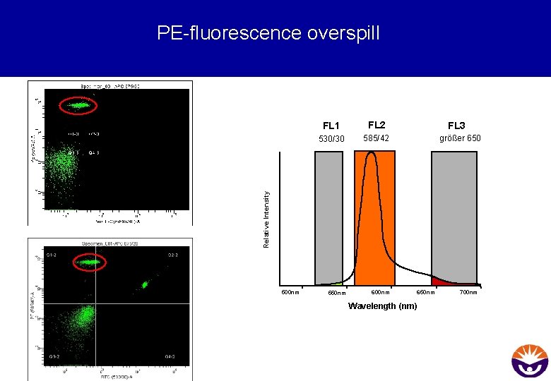 PE-fluorescence overspill FL 2 530/30 585/42 FL 3 größer 650 Relative Intensity FL 1