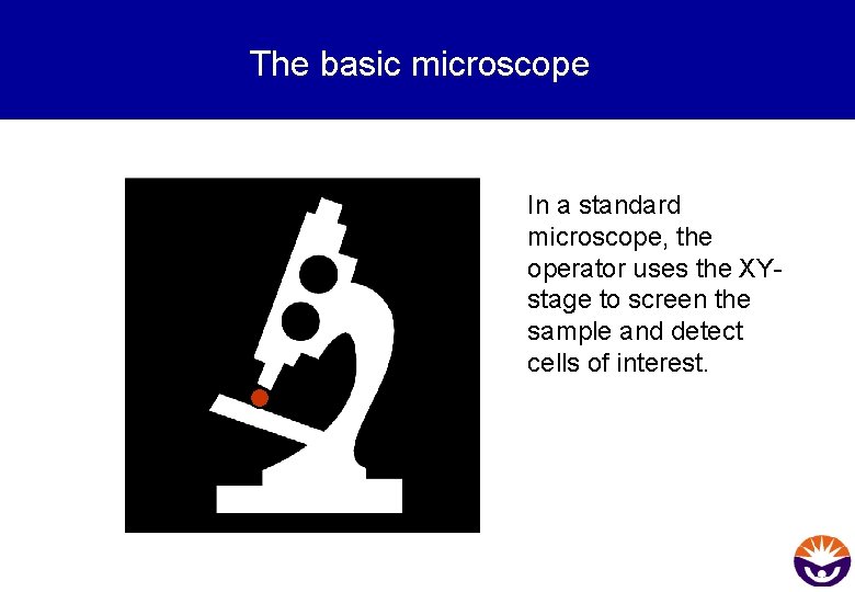 The basic microscope In a standard microscope, the operator uses the XYstage to screen