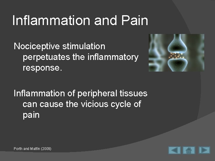 Inflammation and Pain Nociceptive stimulation perpetuates the inflammatory response. Inflammation of peripheral tissues can