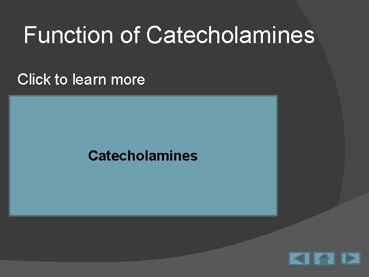 Function of Catecholamines Click to learn more Decrease in insulin-which allow more serum glucose