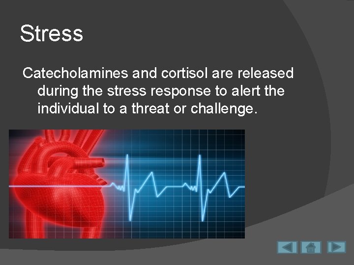 Stress Catecholamines and cortisol are released during the stress response to alert the individual