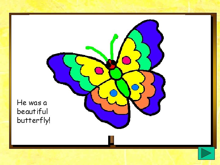 He was a beautiful butterfly! He was a beautiful butterfly!