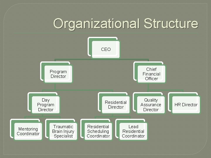 Organizational Structure CEO Chief Financial Officer Program Director Day Program Director Mentoring Coordinator Traumatic