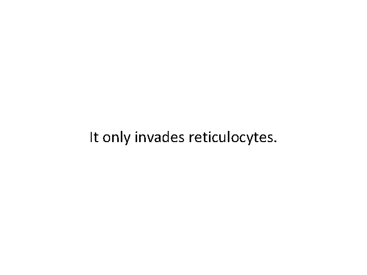 It only invades reticulocytes. 