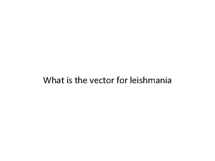 What is the vector for leishmania 