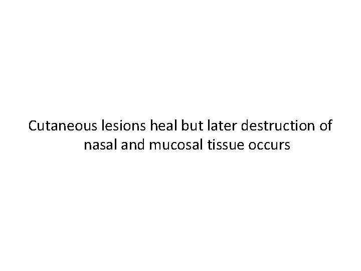 Cutaneous lesions heal but later destruction of nasal and mucosal tissue occurs 