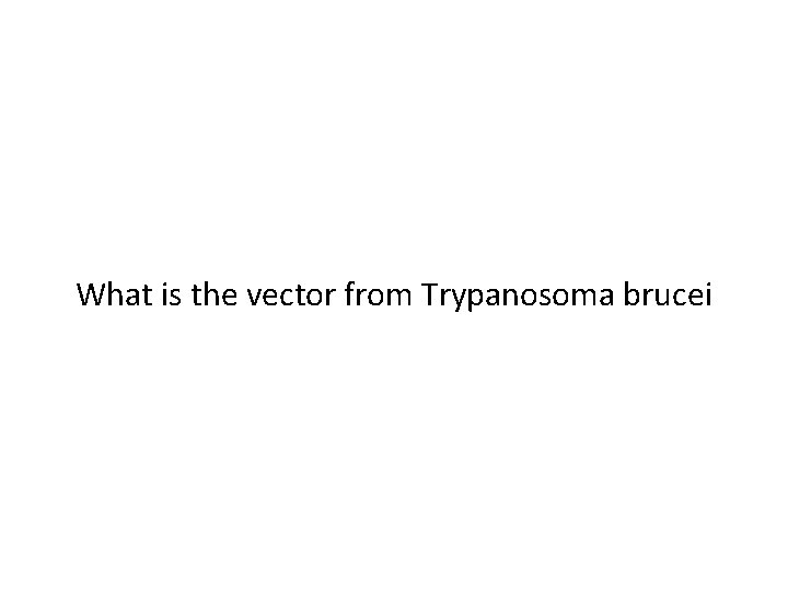 What is the vector from Trypanosoma brucei 