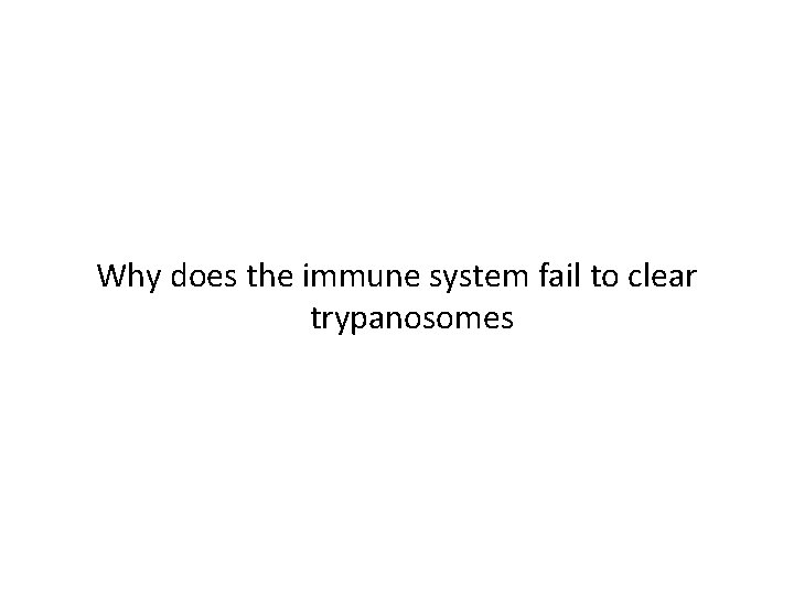 Why does the immune system fail to clear trypanosomes 