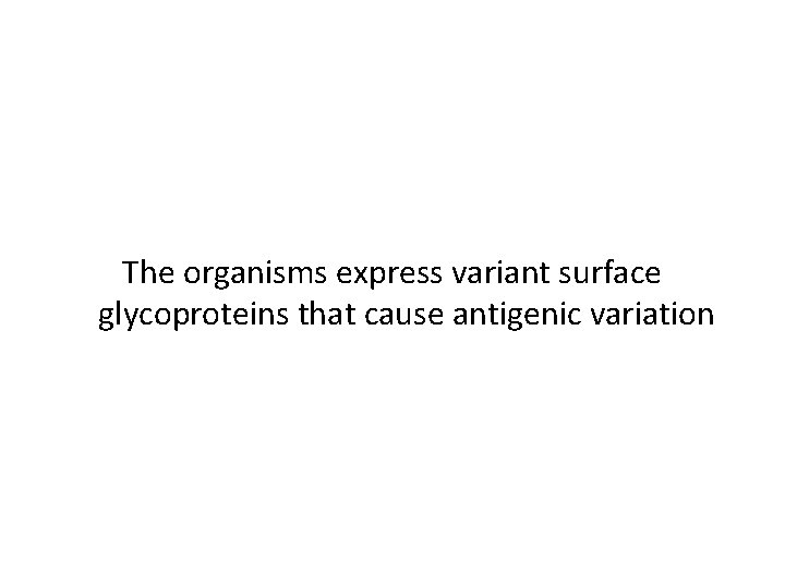 The organisms express variant surface glycoproteins that cause antigenic variation 