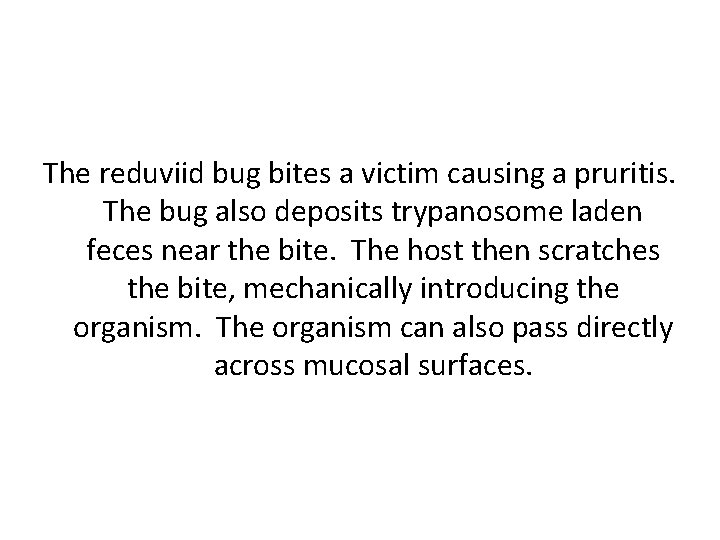 The reduviid bug bites a victim causing a pruritis. The bug also deposits trypanosome