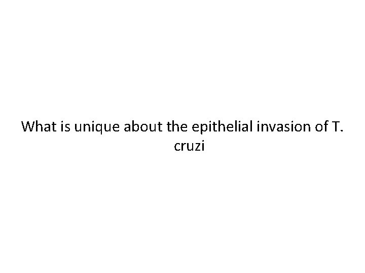What is unique about the epithelial invasion of T. cruzi 