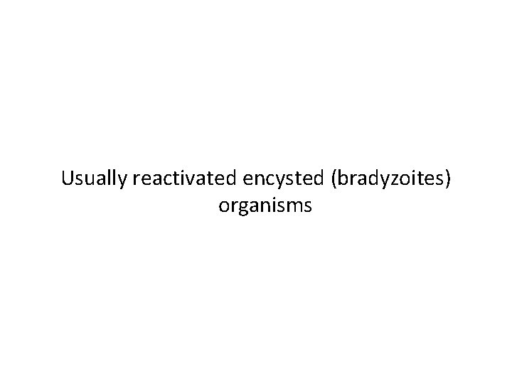 Usually reactivated encysted (bradyzoites) organisms 