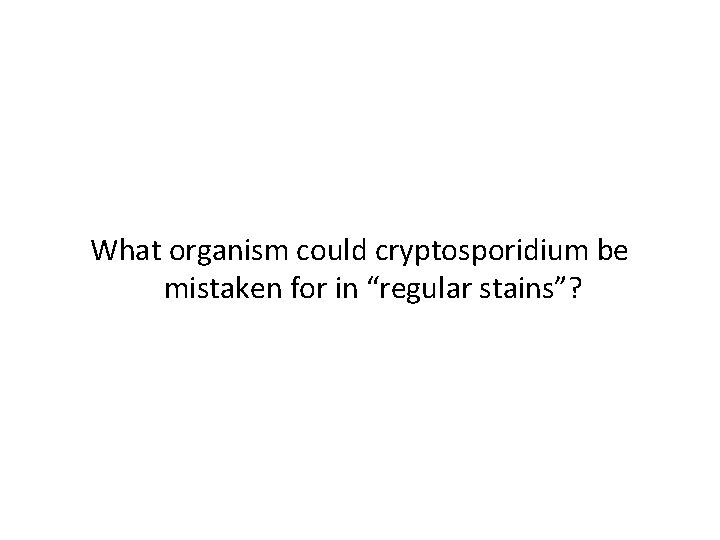 What organism could cryptosporidium be mistaken for in “regular stains”? 