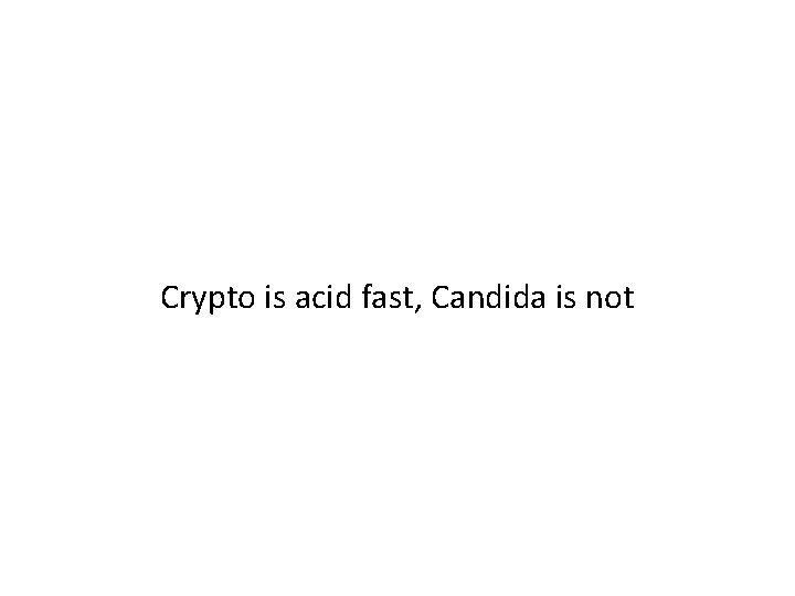 Crypto is acid fast, Candida is not 