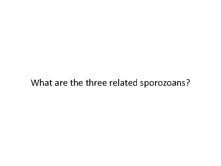 What are three related sporozoans? 