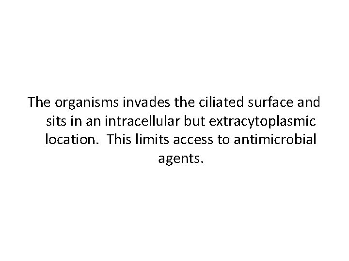 The organisms invades the ciliated surface and sits in an intracellular but extracytoplasmic location.