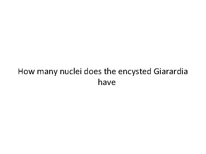 How many nuclei does the encysted Giarardia have 