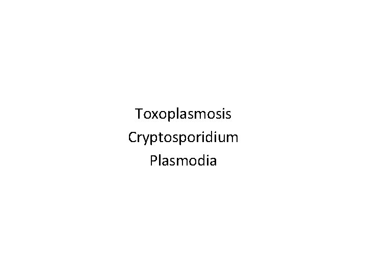 Toxoplasmosis Cryptosporidium Plasmodia 