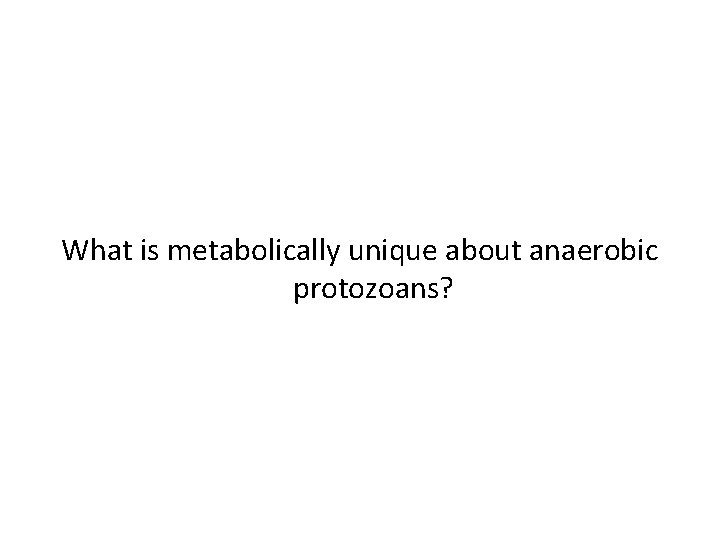 What is metabolically unique about anaerobic protozoans? 