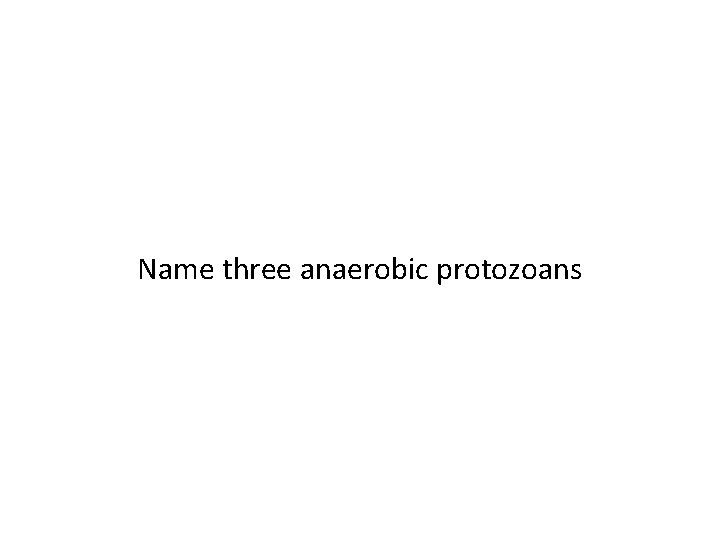 Name three anaerobic protozoans 